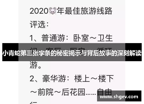 小青蛇第三张字条的秘密揭示与背后故事的深刻解读